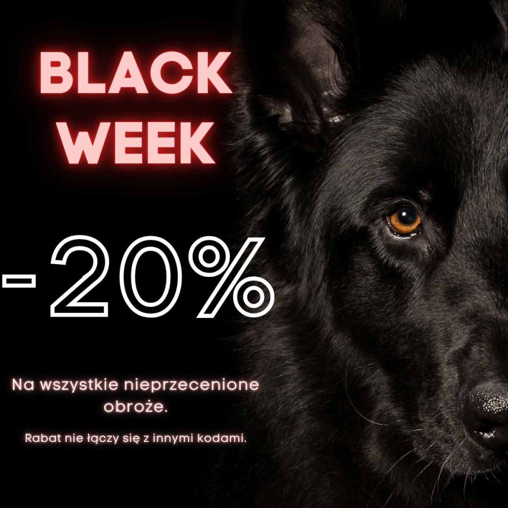BLACK FRIDAY(Post Instagram) (Post na LinkedIn)