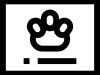 primer_6306582