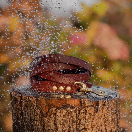 smycz-miejska-saddle-brown-mosiezny-sprezynowy-biothane-accdog-6